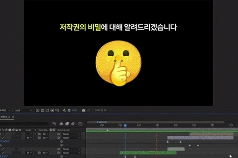영상 디자이너 마론킴