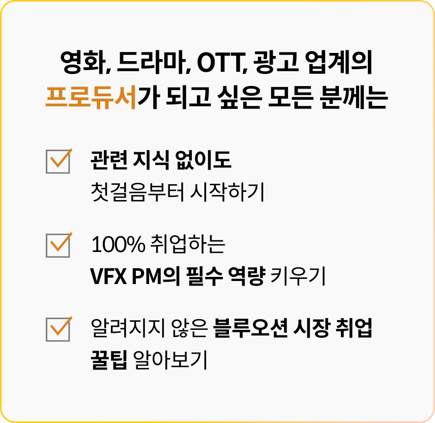 콜로소 VFX 프로듀서 최인영