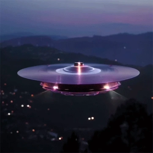 콜로소 크리에이티브 디렉터 NISCHEOM