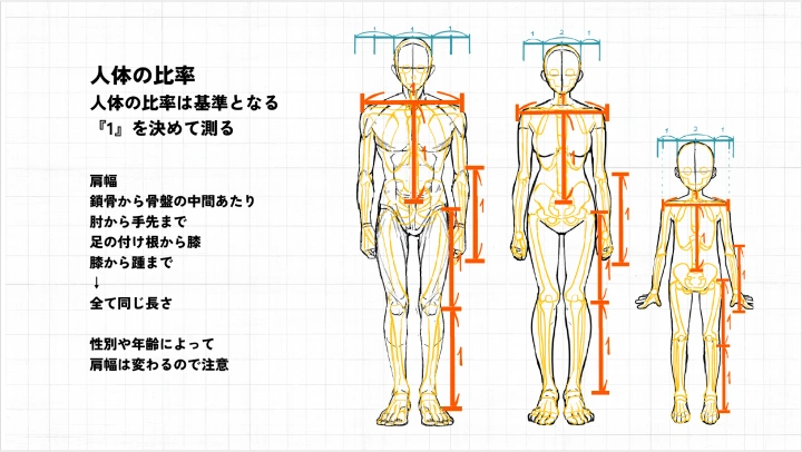 curriculum-illustrator-Ikuta-jp-03-1.webp