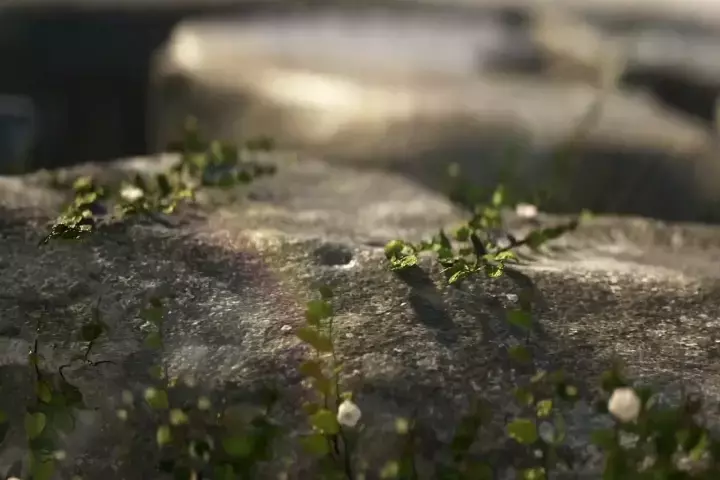 Coloso 3D Artists Timo Helgert & Florian Renaux
