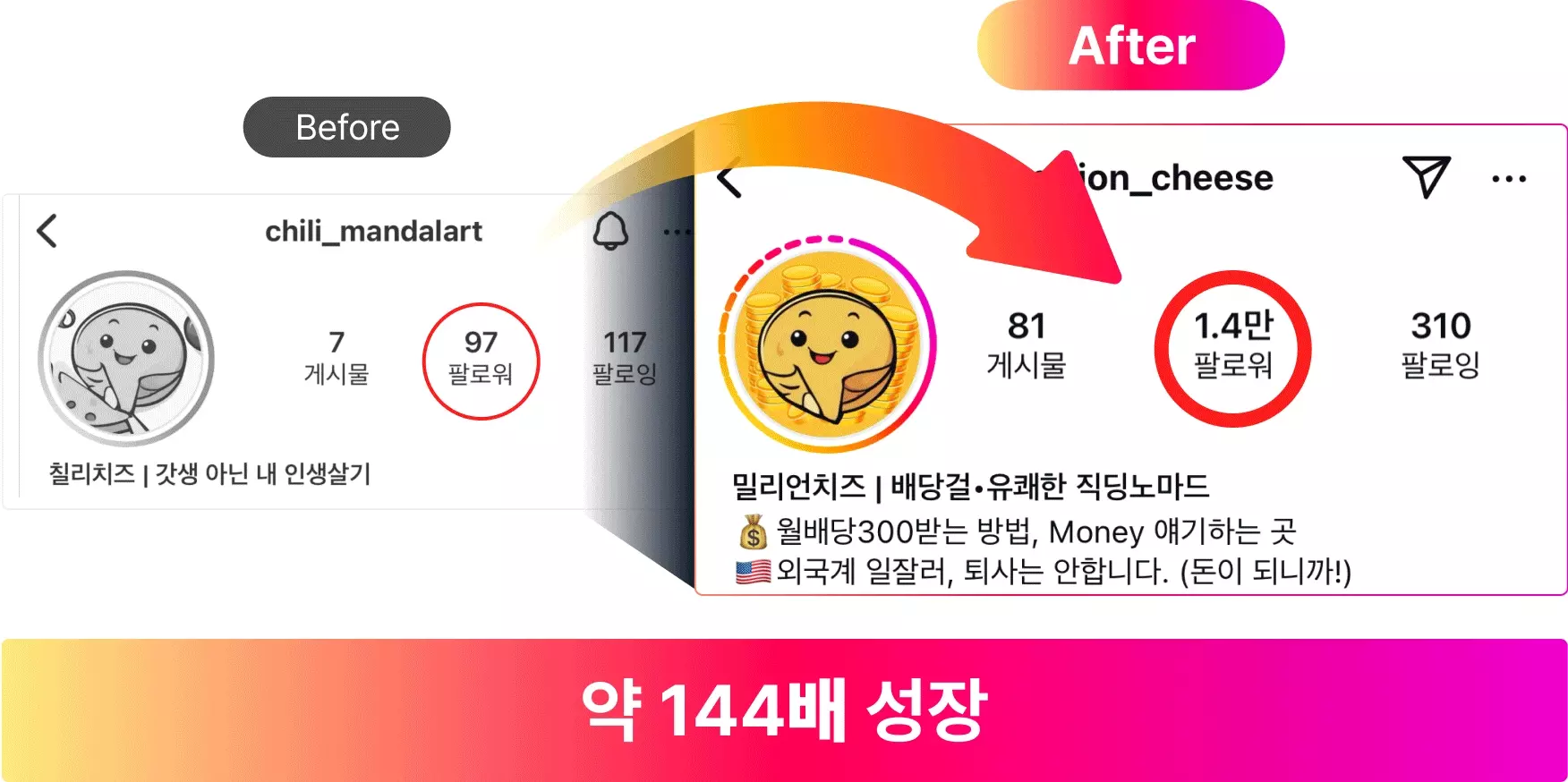 SNS 수익, 리치파카, 인스타그램 수익, SNS 수익화, 인스타그램 수익화, SNS 부업