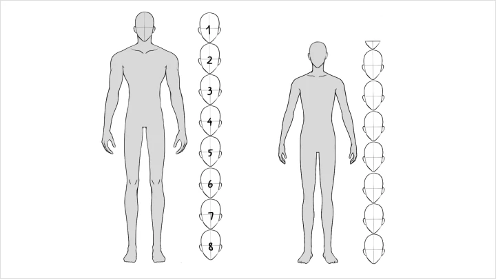 [Global]Phaes-illustrator-curriculum-07.webp