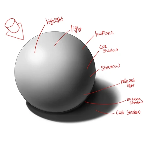 Coloso Illustrator Mungduck