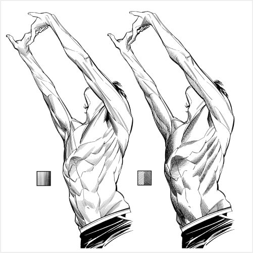 Illustrator 1hyeonn
