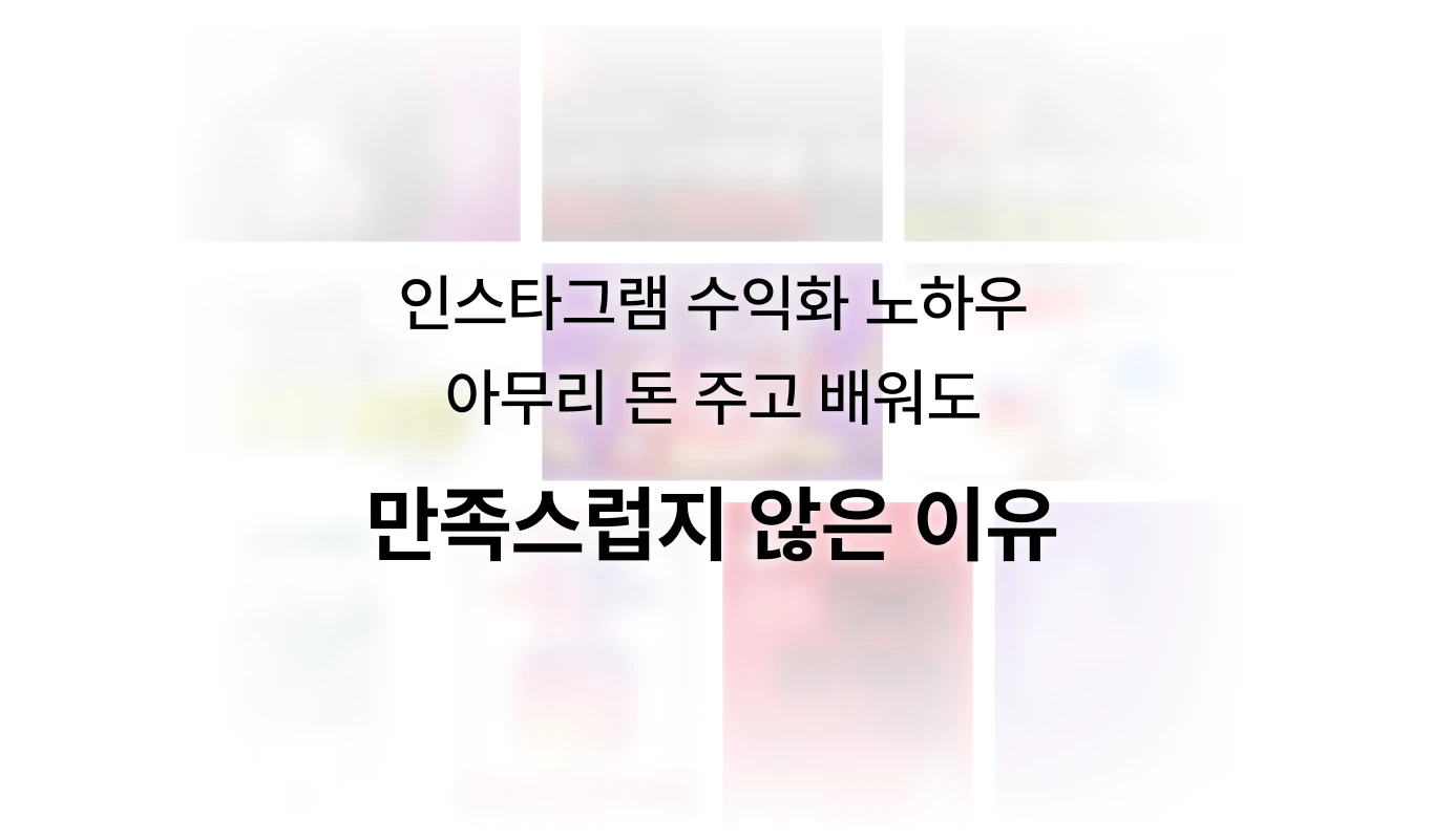 SNS 수익화, 인스타그램 수익화, 리치파카, SNS 수익, 인스타그램 수익