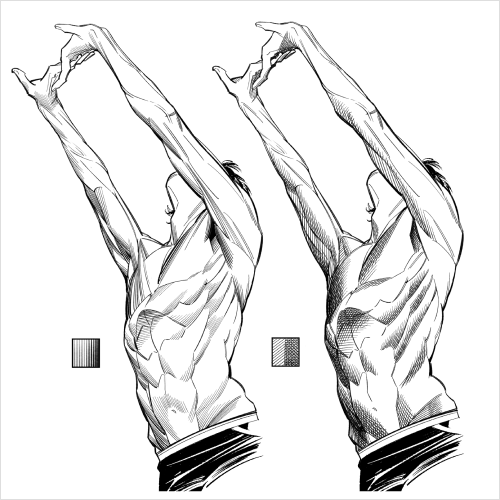 Illustrator 1hyeonn