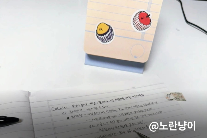 수강생후기