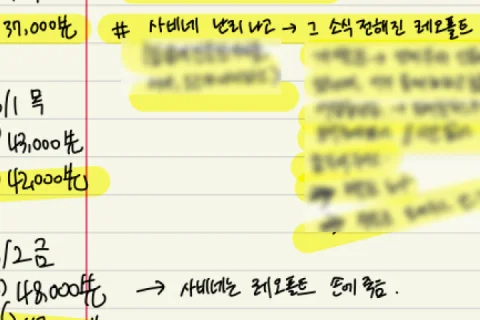 웹소설 작가 한보연