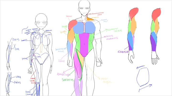 curriculum3-1.webp