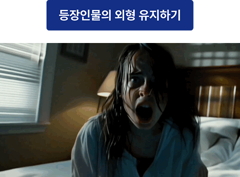 ImageSlide<div style="text-align: center;">시드를 활용하여 외모를 유지합니다.</div>