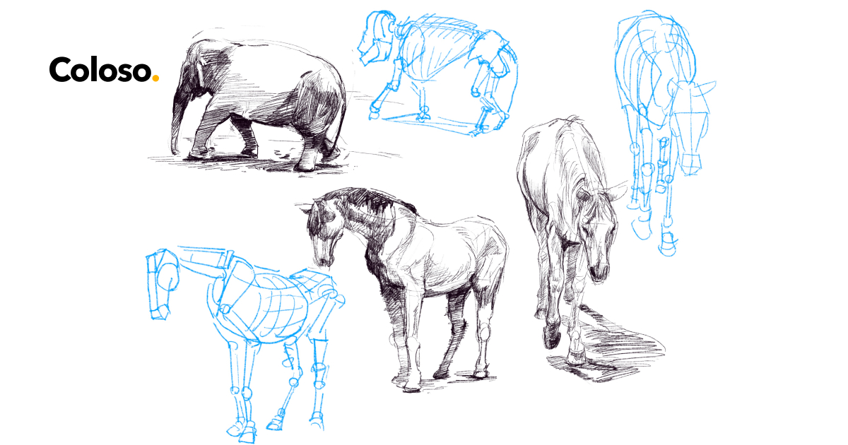 【美品】小動物の軟部外科テクニック―イラスト解説 Amazon.co.jp: 小動物の軟部外科テクニック: イラスト解説 : ト