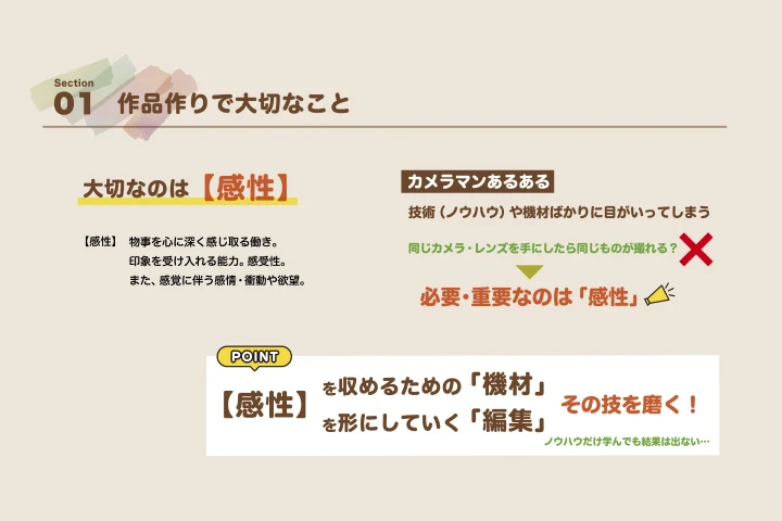 Coloso 映像クリエイター セトハル