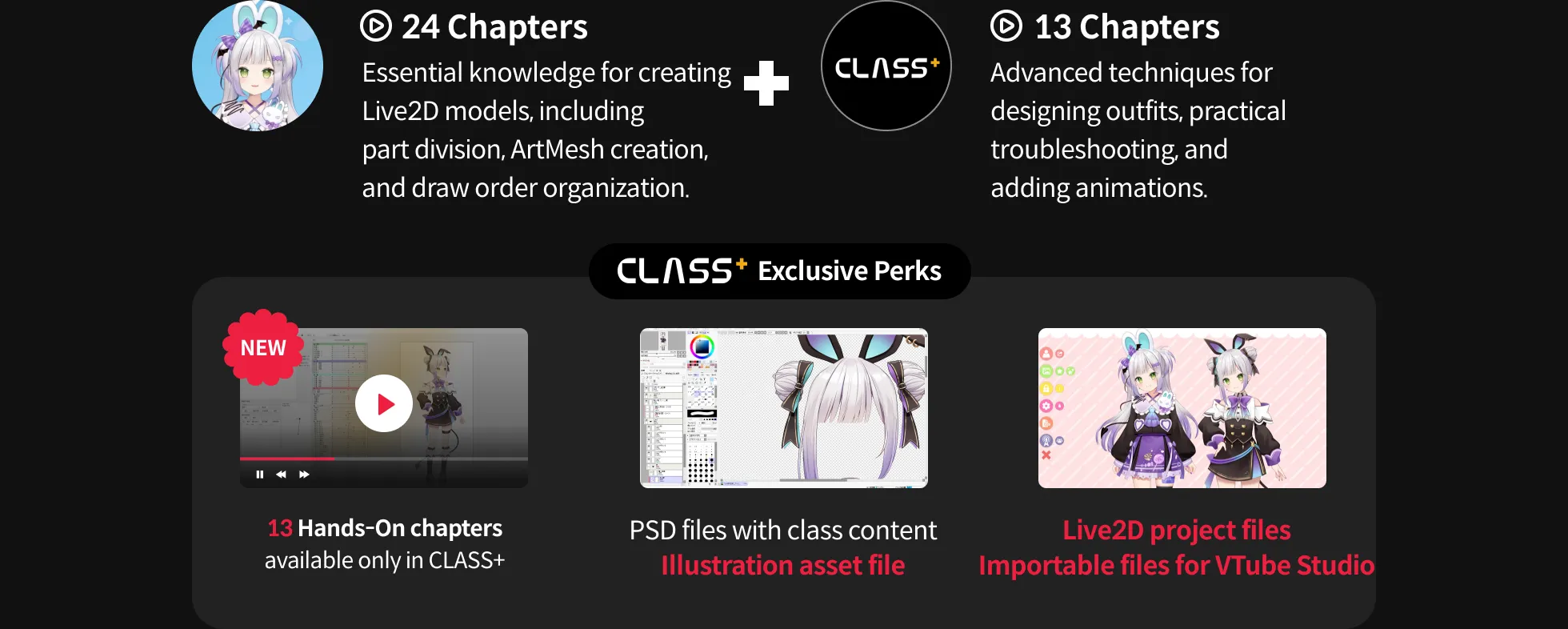 Coloso Live2D Modeler, rariemonn