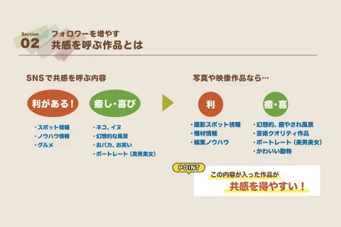Coloso 映像クリエイター セトハル