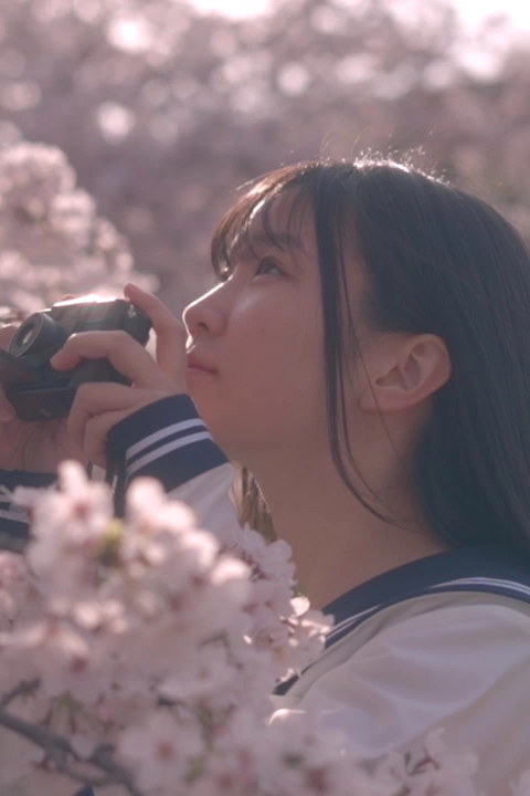 Coloso 映像クリエイター セトハル