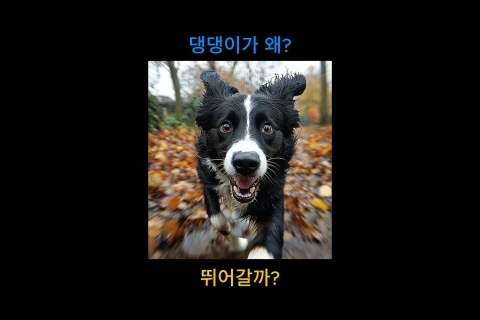 게임 프로듀서 리액터