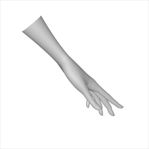 시그니처 3D 애니메이터  minusT