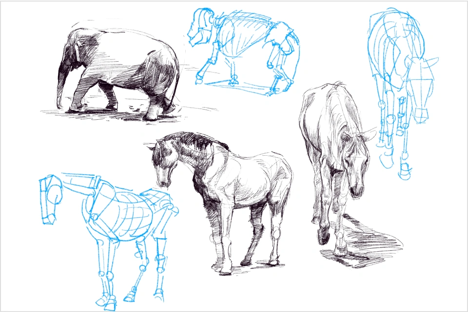美品】小動物の軟部外科テクニック―イラスト解説 健康・医学