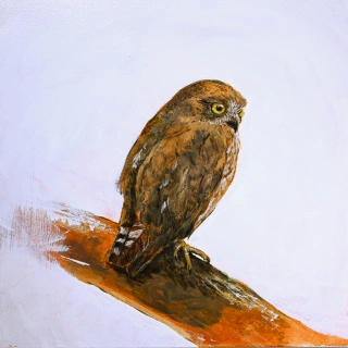Coloso 小山晋平