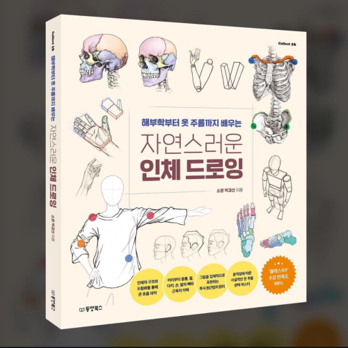 작가 소은