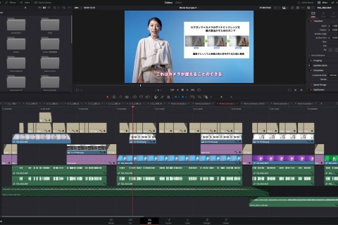 Coloso 映像作家 鈴木佑介
