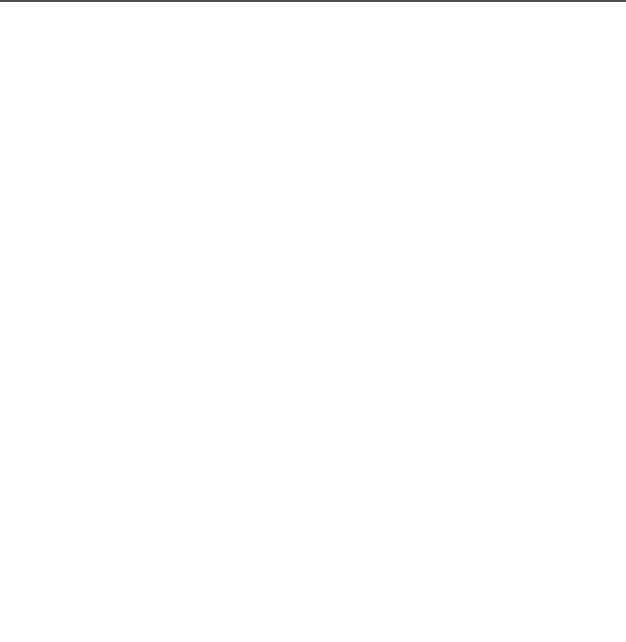Coloso Illustrator Guweiz Review