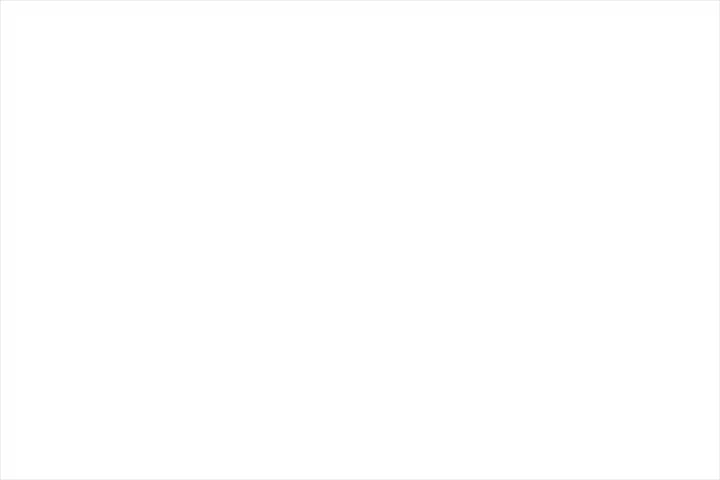 일러스트레이터 정지아