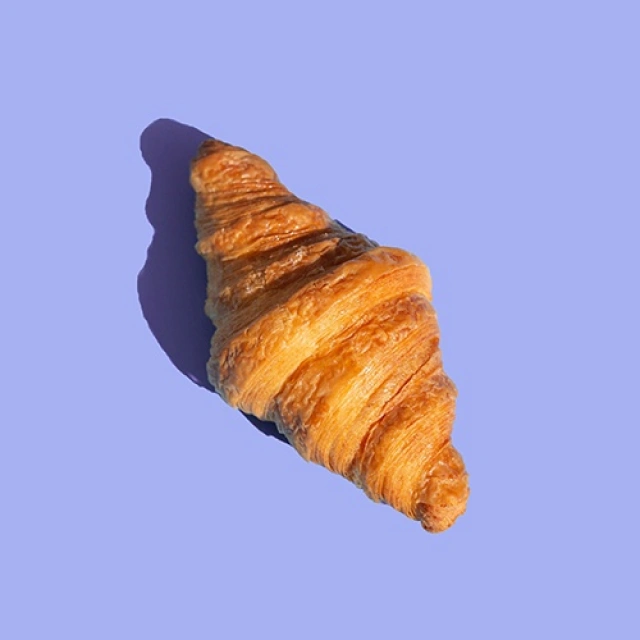 일러스트레이터 꾸시	
