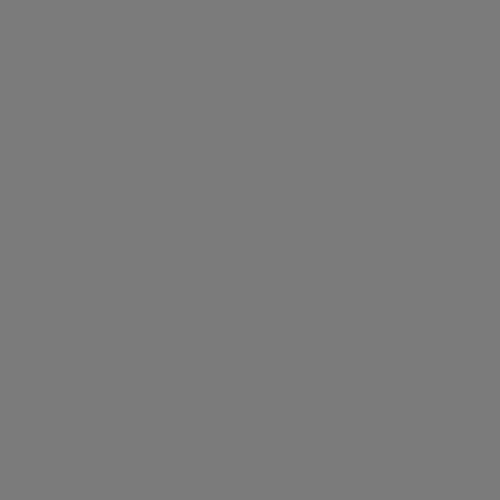 Coloso Pixel Animator FifthTee55