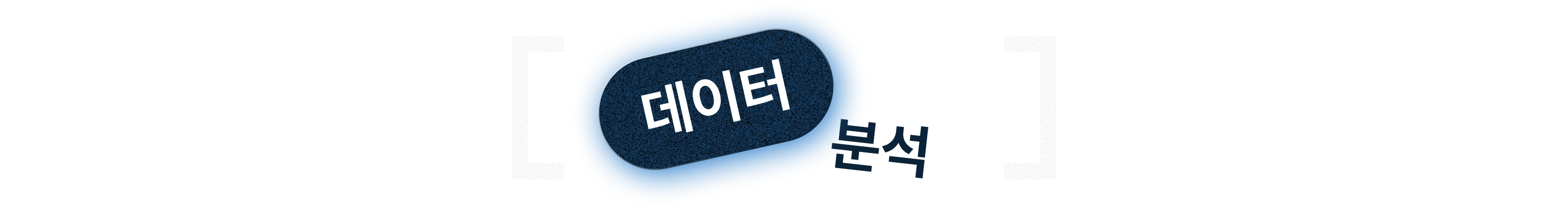 데이터분석 
