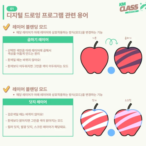 시그니처 일러스트레이터 건망