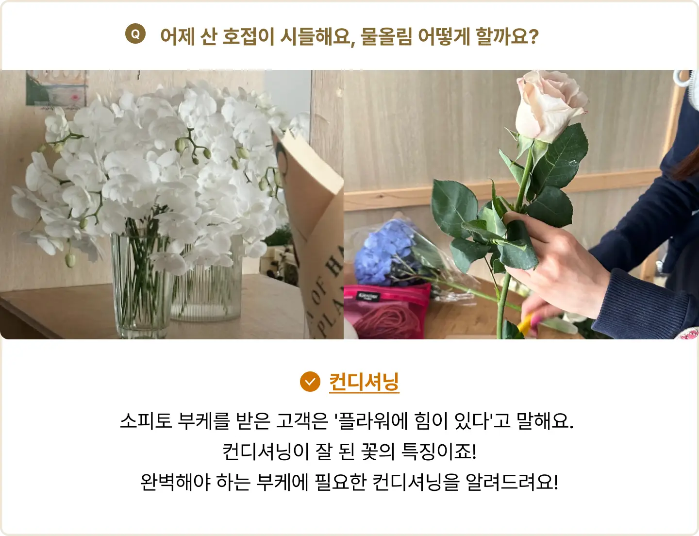 ImageSlide