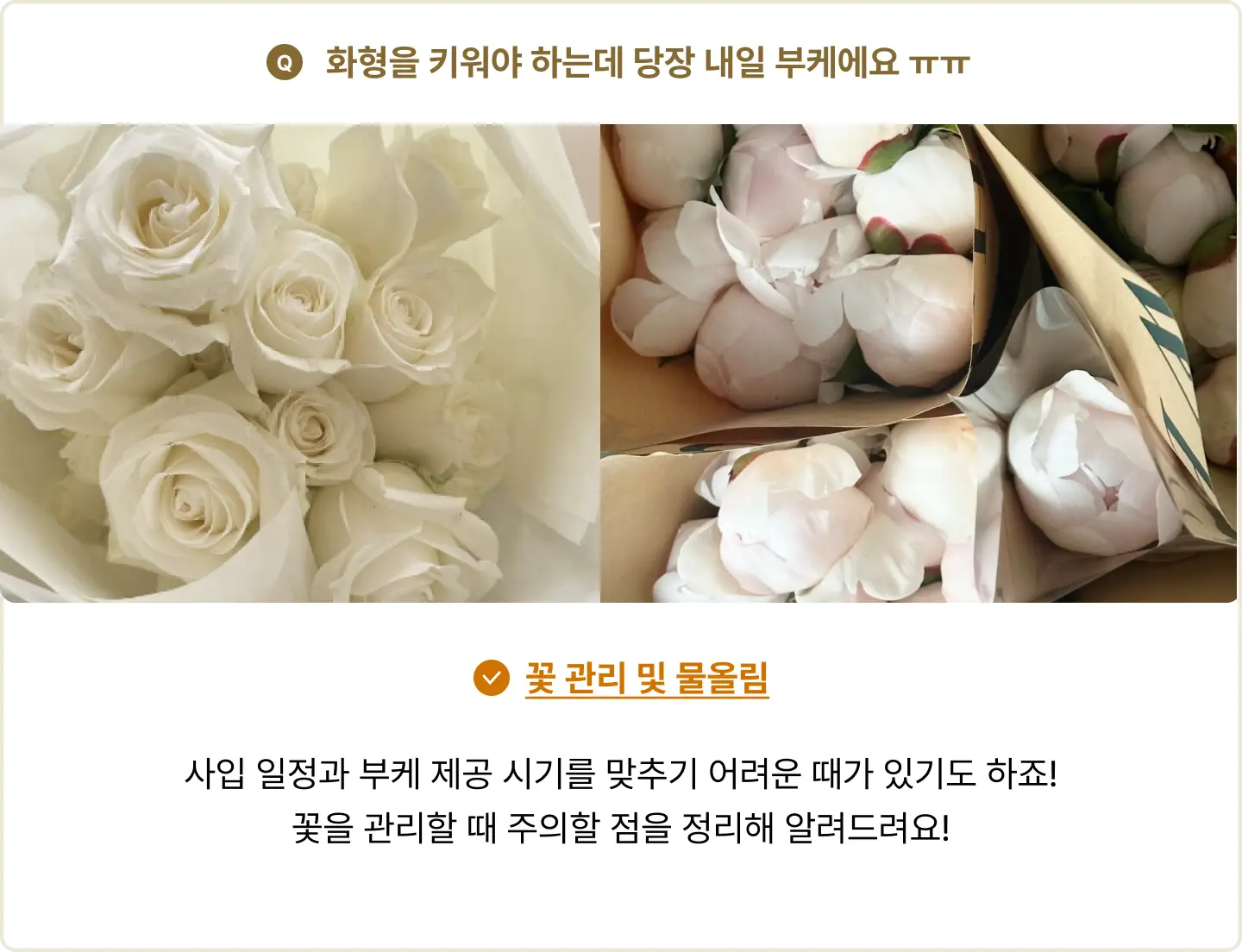 ImageSlide