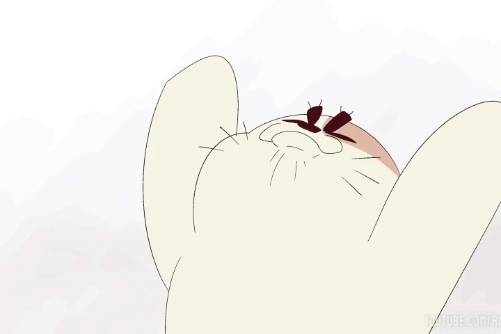 Coloso Webcomic Artist & Animator,  RandoWis