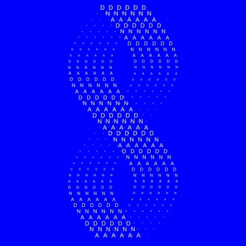 Freelance Designer & Creative Coder, Andreion de Castro