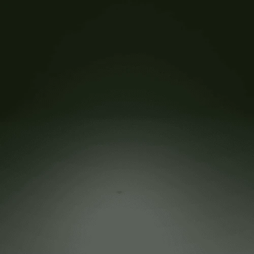 3Dアーティスト アンナ
