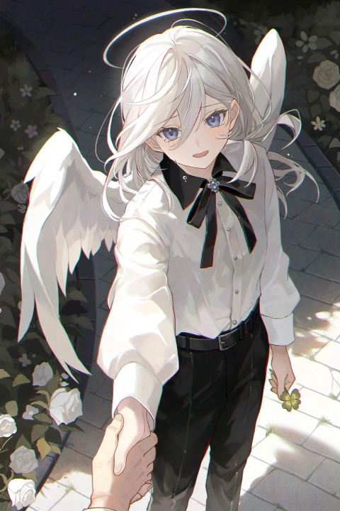 双木樹のポートフォリオ