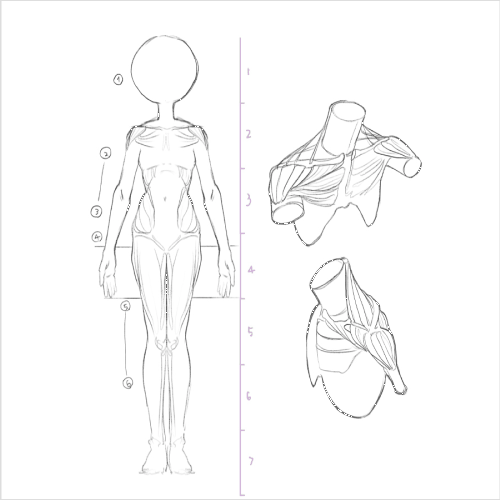Coloso イラストレーター 旧都なぎ