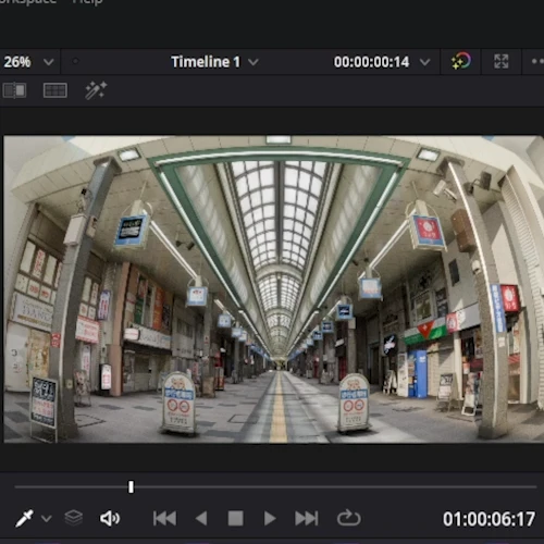 3D Artist Minstin