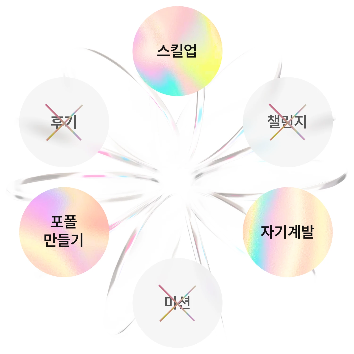콜로소 100%페이백  인트로