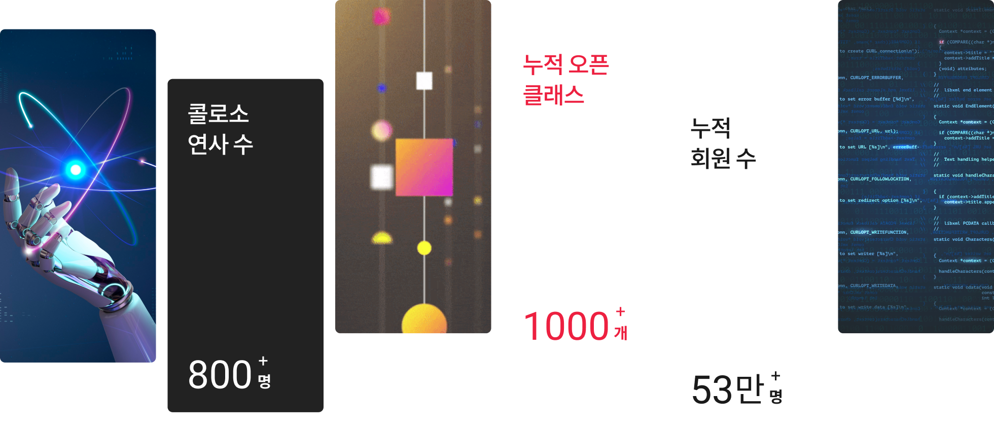 콜로소 b2b