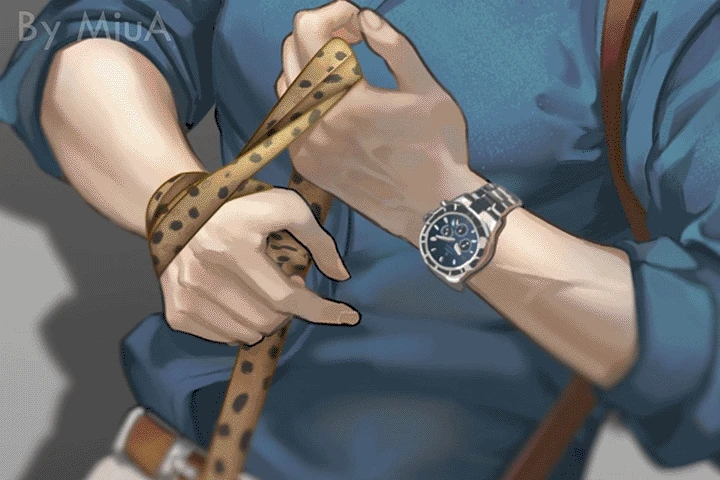 2D Animator, MiuA