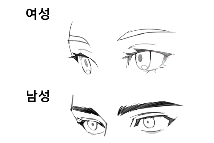 일러스트레이터 웅돼지