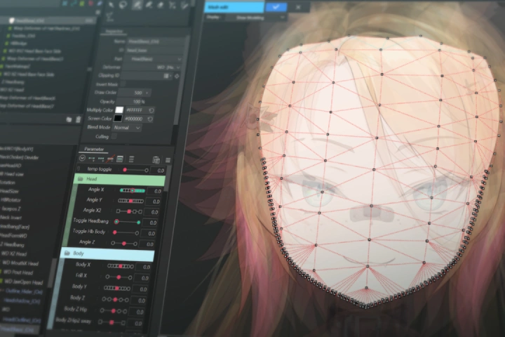 Live 2D Illustration and Model