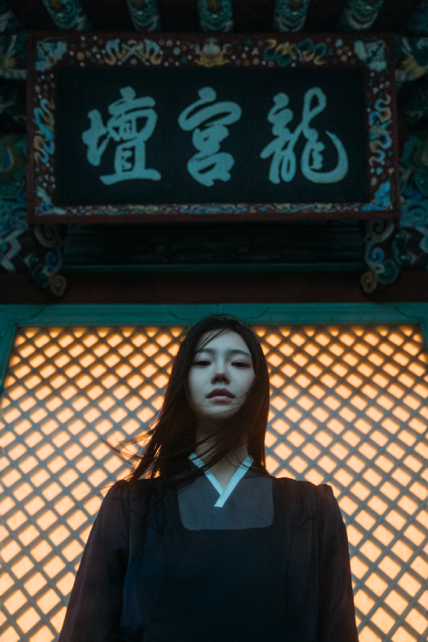 콜로소 에셋 포트폴리오