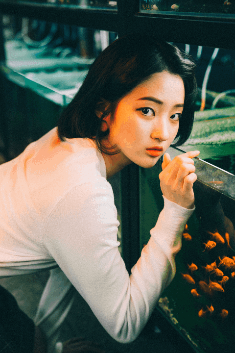 콜로소 에 포트폴리오