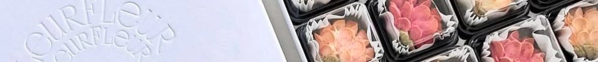배경 이미지