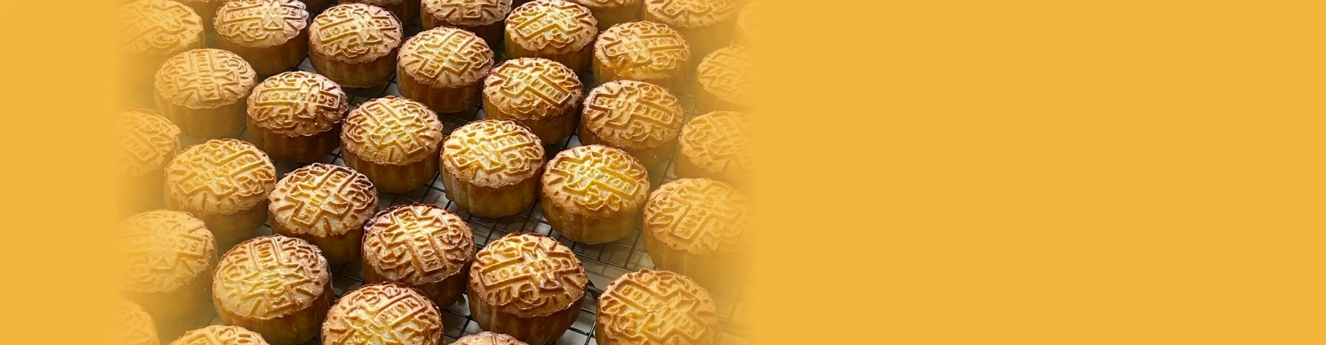 배경 이미지