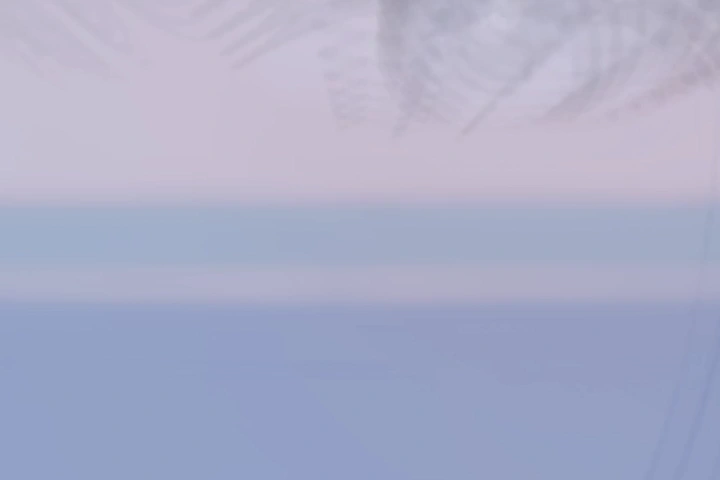 2D 그래픽 디자이너 LUMINA 